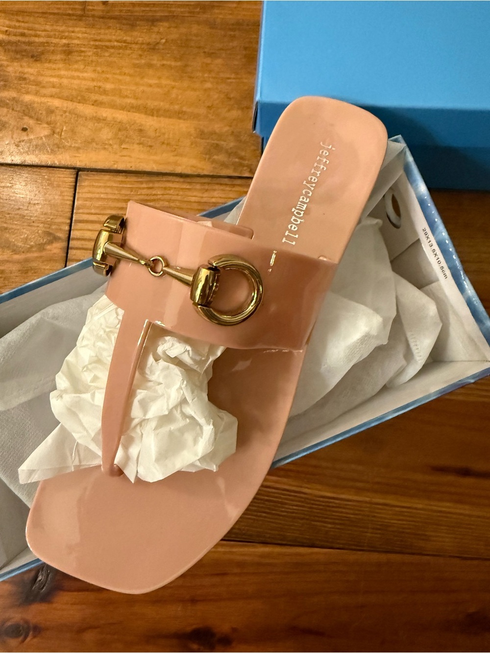 Jeffrey Campbell Blush Pink Jelly Sandals with Gold Hardware
